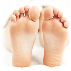 Scholl velvet smooth soft