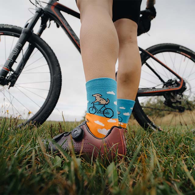 Roční předplatné ponožek p1