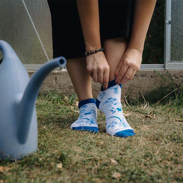 Roční předplatné ponožek p10