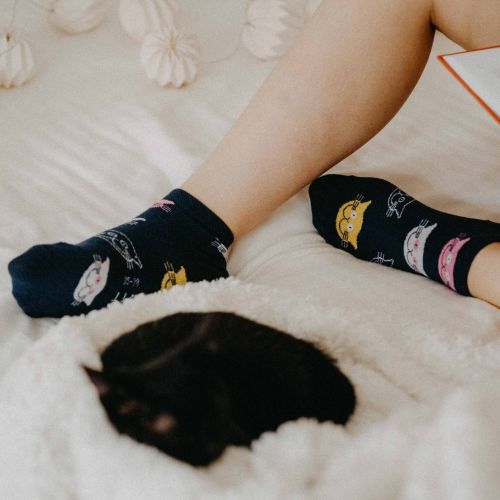Ponožky - Mačka farebné  nízke p3