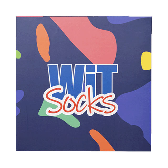 WiT Box kalendář 12 párů ponožek - pánský p5