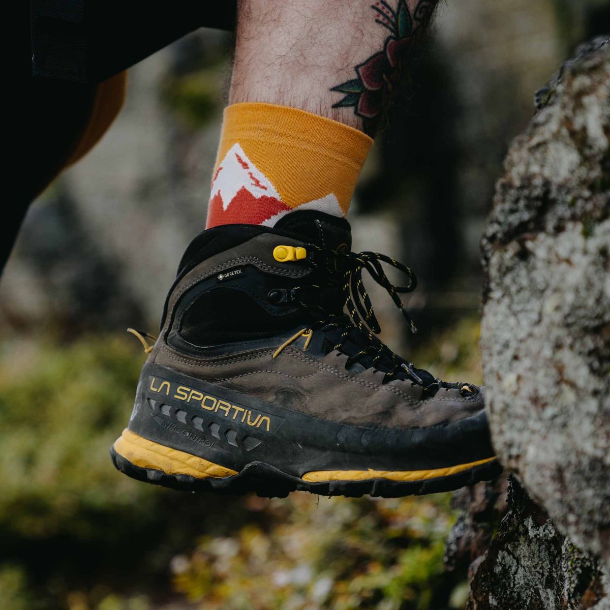 Roční předplatné ponožek p14