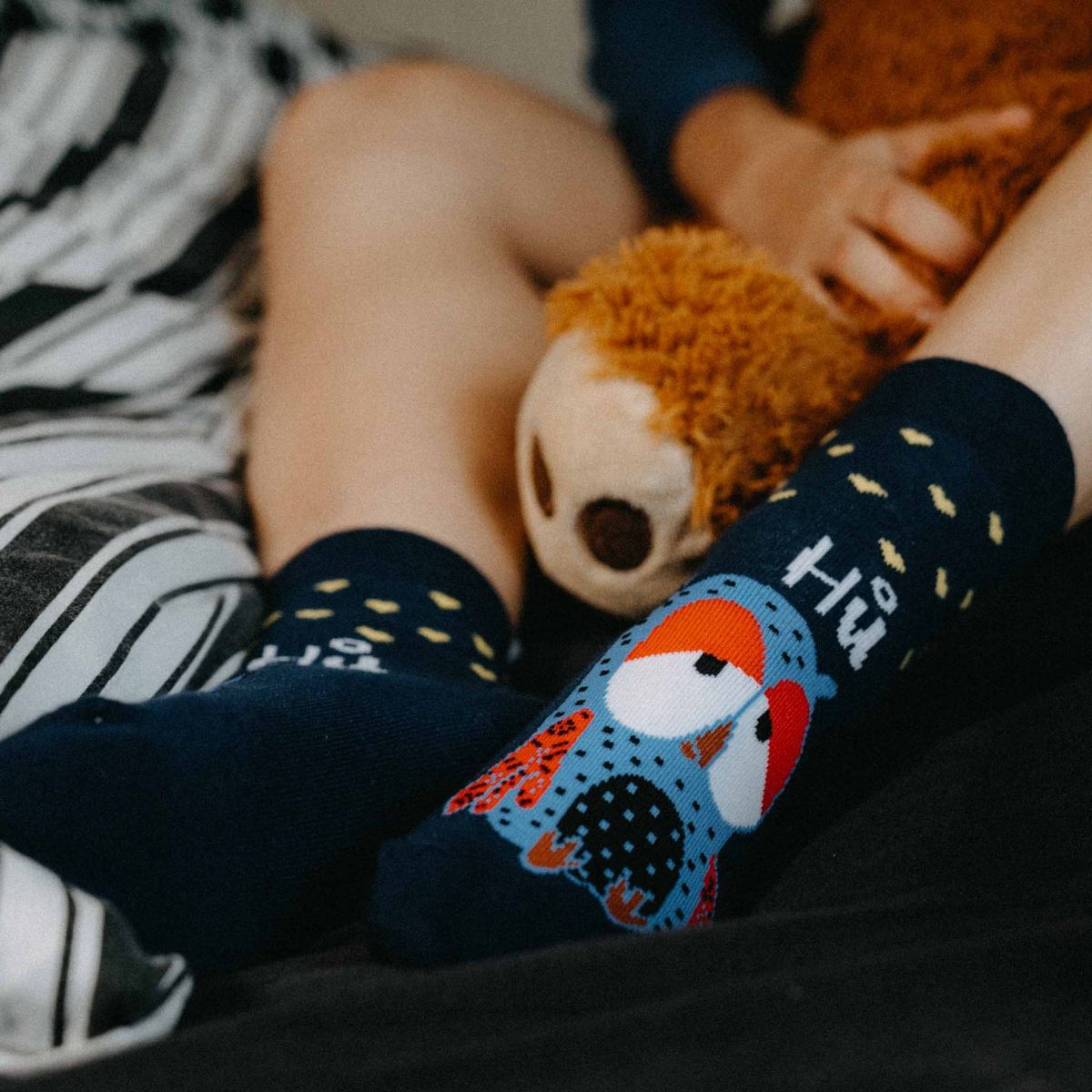 Roční předplatné ponožek p17