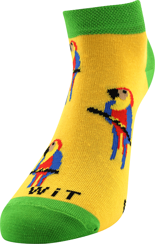 Socken - Papagei - niedrig p4
