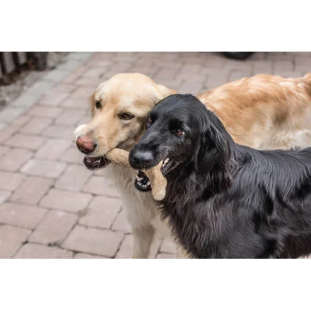 Kávové dřevo Chewies na žvýkání - M