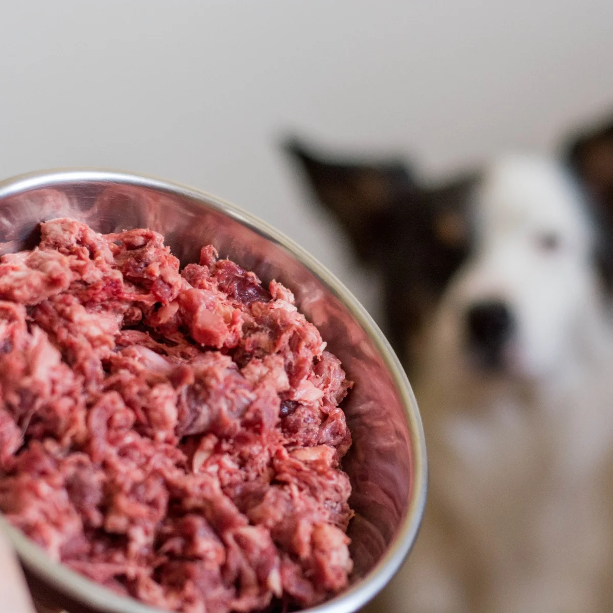 Telecí hrubomleté 1kg