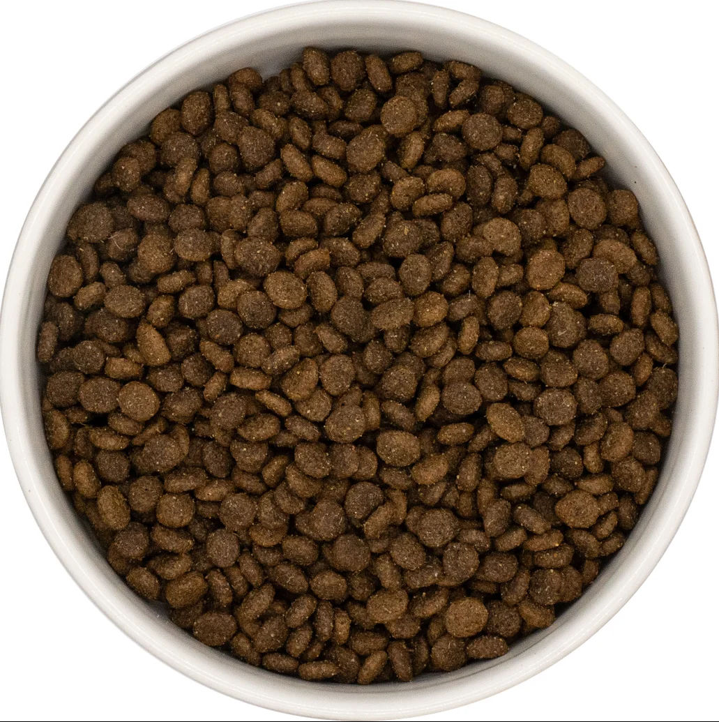 Amore Grain Free Small Breed Lamb & Mint 2kg