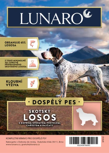 Amore High Protein Scottish Salmon 12kg