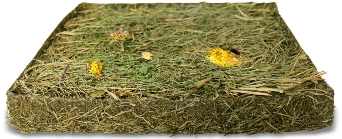 JR Farm Sušená louka pampelišková 750 g