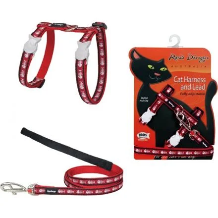 Postroj RD s vodítkem - kočka - Fisbone Red