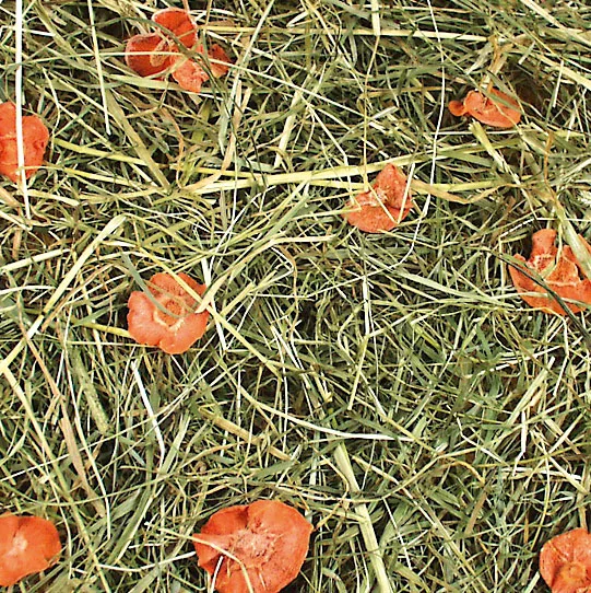 JR Farm Seno s mrkví 500 g