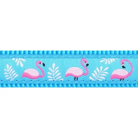 Postroj RD 15 mm x 36-54 cm - Flamingo Turquoise