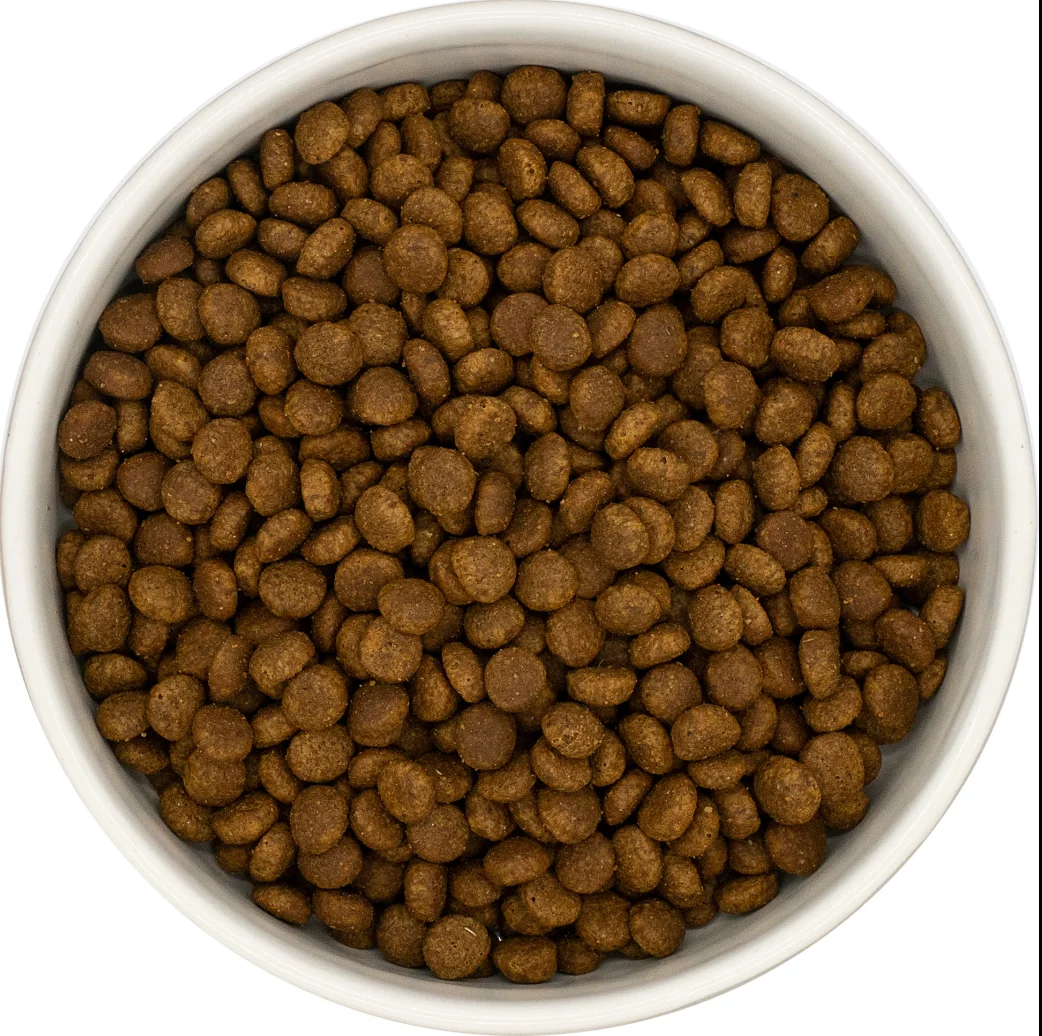 Amore Cat Kitten Turkey & Chicken, 300g