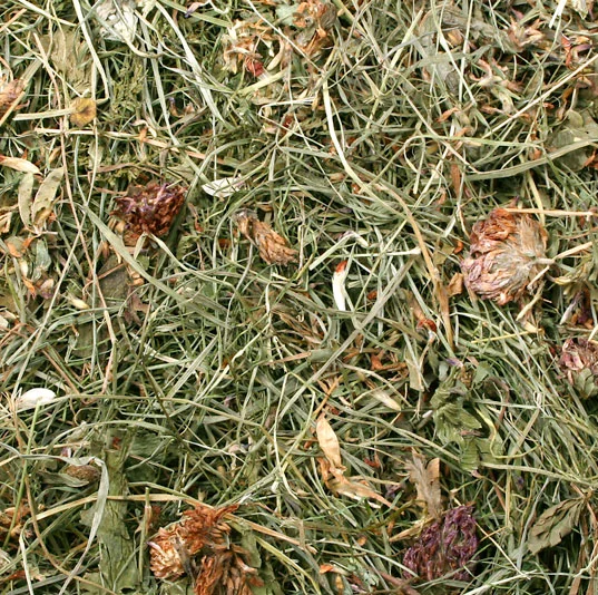 JR Farm Seno s jetelem 500 g