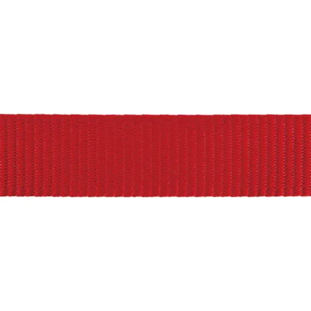 Obojek pro koťata RD 8 mm x 16-26 cm - Červená