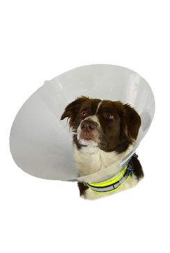 KRUUSE Límec ochranný BUSTER plastový Classic Collar 7,5cm