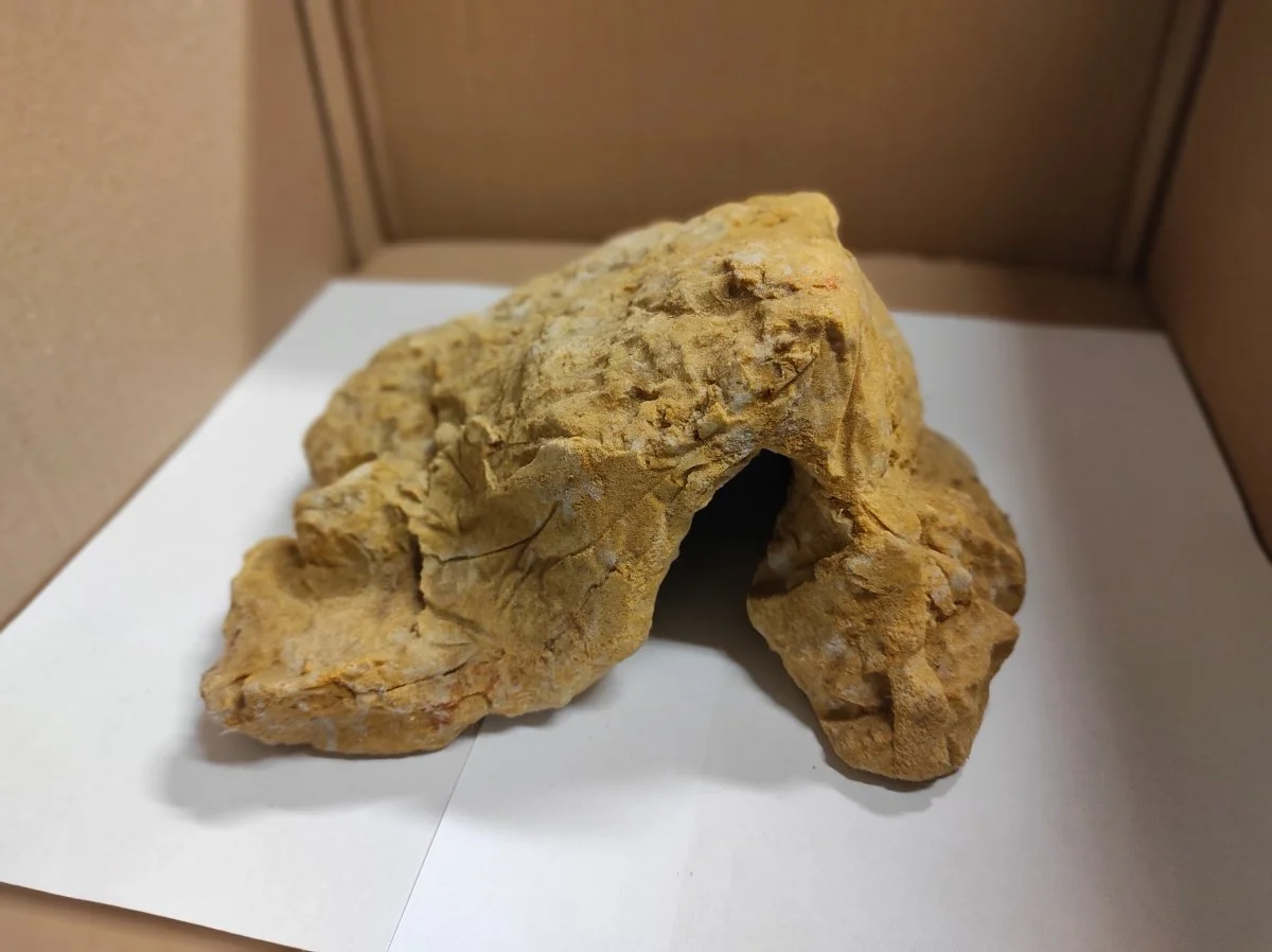 Skalka pískovcová A14