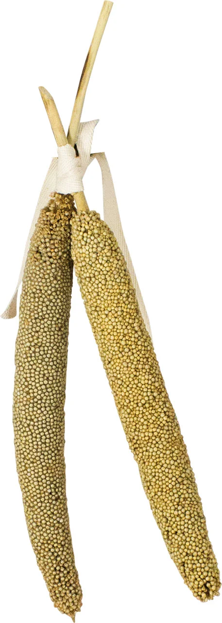 JR Birds Proso perlové pro ptáky 40g