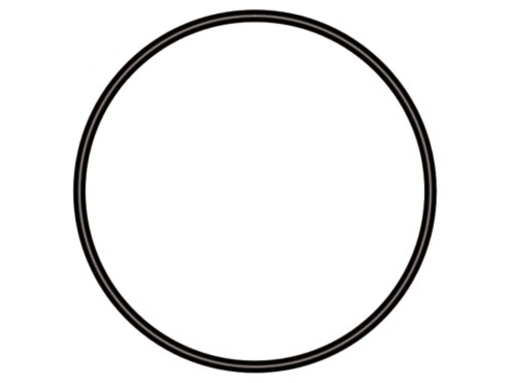 sera GmbH sera O kroužek 62mm