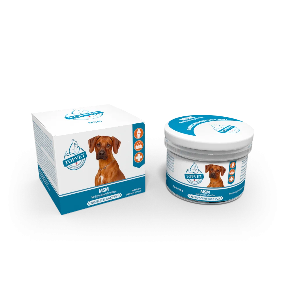 TOPVET MSM pro psy 100 g