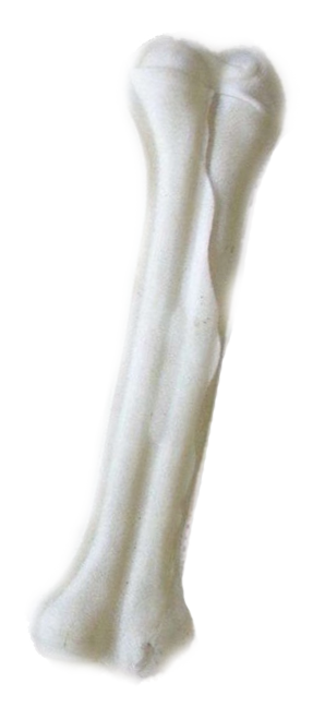 Tenesco Kost bůvolí BÍLÁ 16cm 1ks
