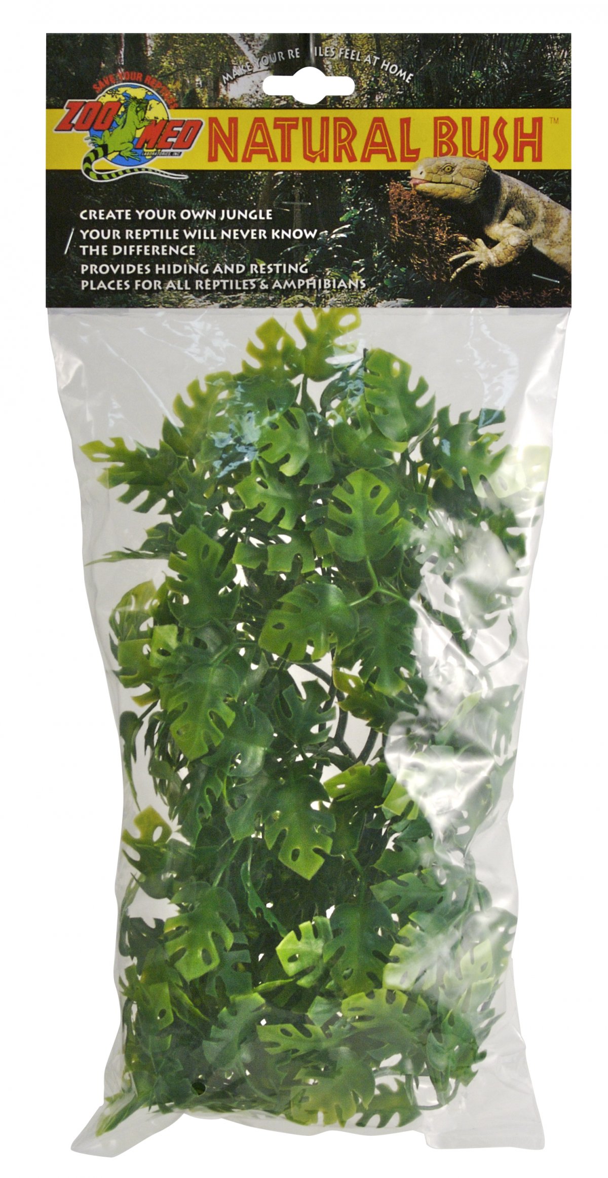 ZOOMED Rost.ter.ZMD Amazonian Phyllo M