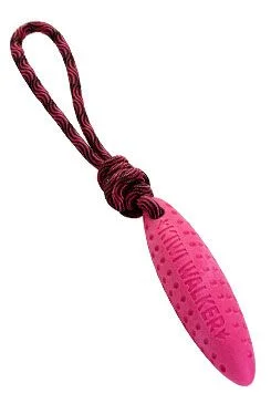 Hračka pes ZEPPELIN MINI plov. z TPR pěny KW Růžová