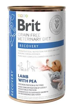 Brit VD Dog+Cat GF konz. Recovery 400 g