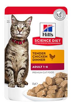 Hill´s Pet Nutrition Hill's Fel. SP Adult Chicken kapsa 12x85kg