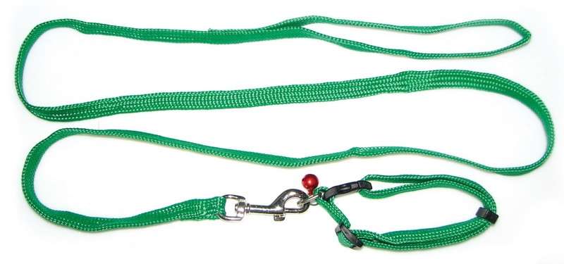 Magnum Obojek 10mm x 20-33cm s vodítkem 10mm x 120cm nylon kočka