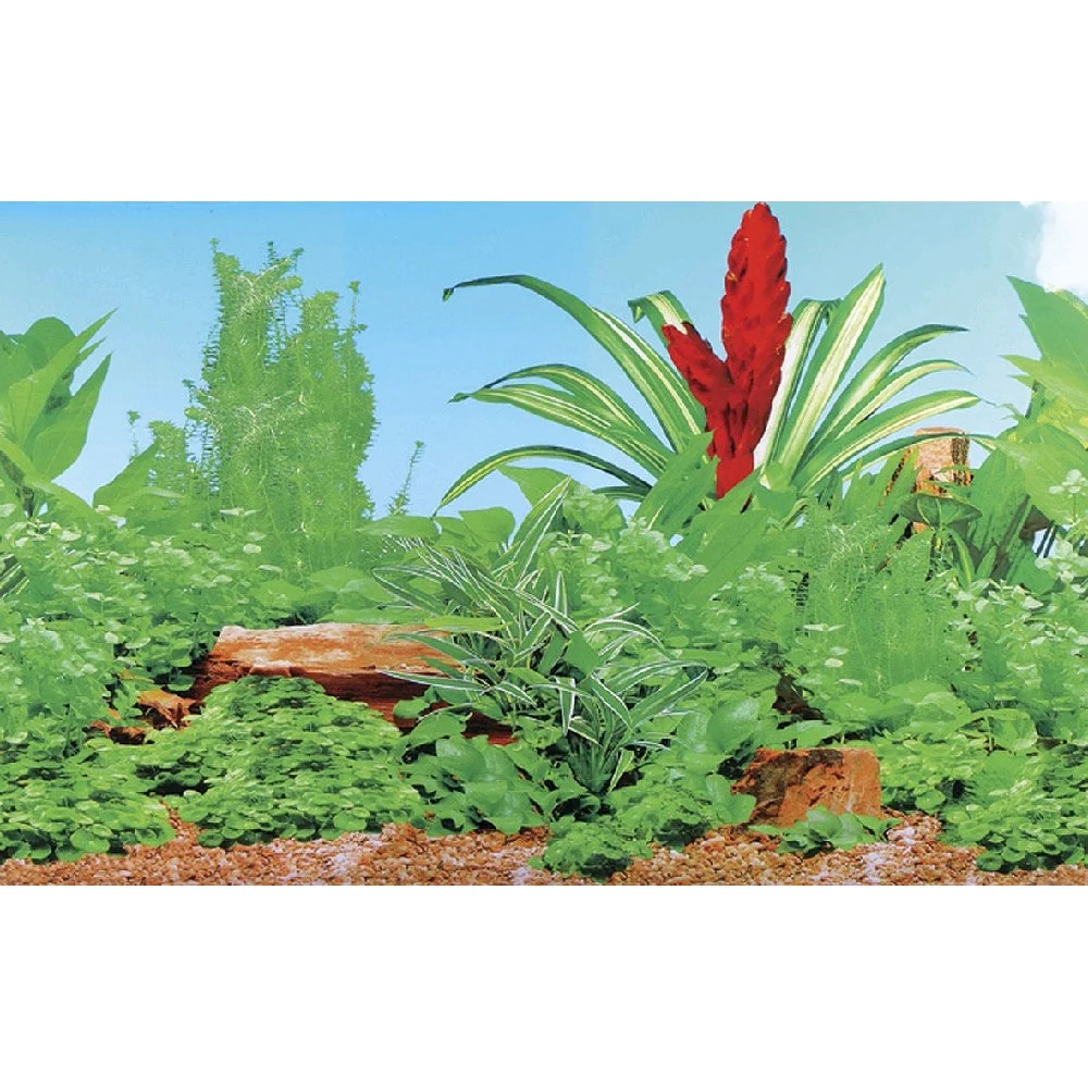Akvaristika - pozadí do akvária FEELING OF PLANTS, vel. XXL