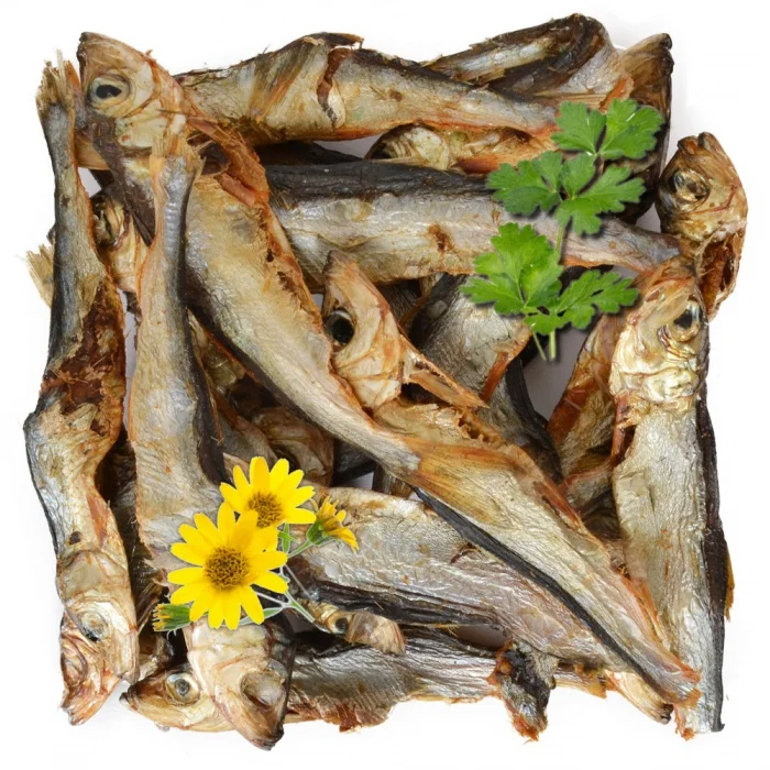 Sušená ryba Huňáček severní 1 ks