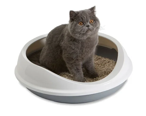 Toaleta SAVIC Nestor bílo-šedá