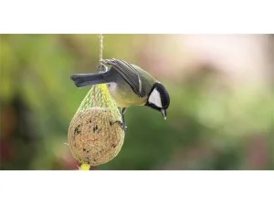 Brapta Lojová koule se semínky 90g 1ks