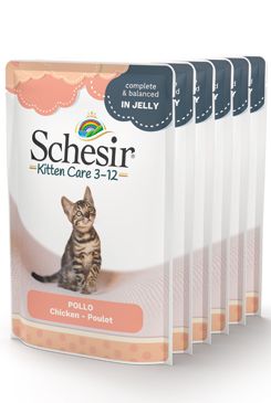 SCHESIR Kapsička pro koťata kuře 6x85 g