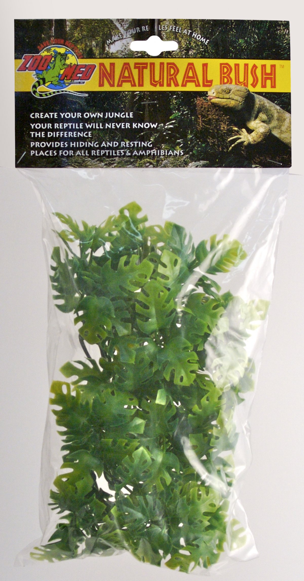 ZOOMED Rost.ter.ZMD Amazonian Phyllo S