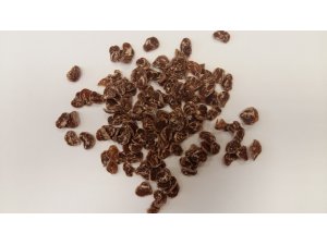 SALAČ SUŠENÉ MASO MLSKY - kachní s treskou 100g