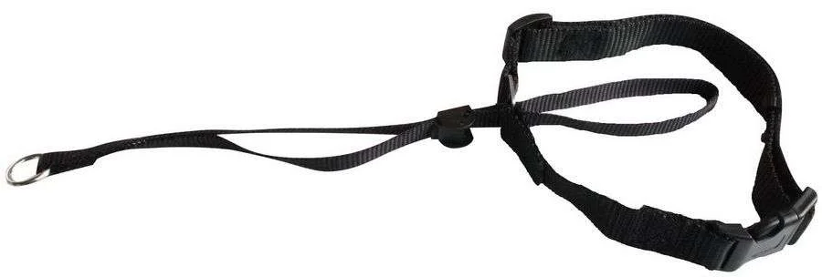 Magnum Ohlávka (max. obvod 50cm)