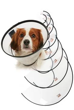 KRUUSE Límec ochranný BUSTER plastový Quick Collar Set 7ks