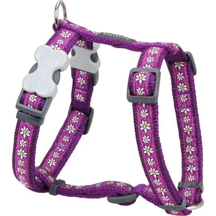 Postroj RD 25 mm x 56-80 cm - Daisy Chain Purple