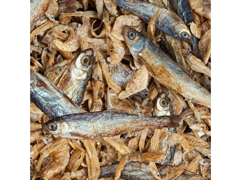 sera GmbH sera raffy Royal 3800 ml