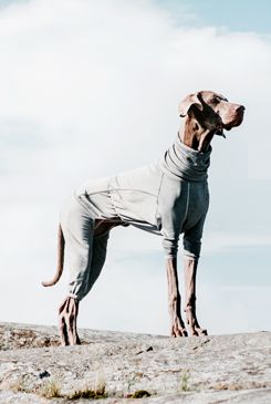 Obleček Hurtta Body Warmer šedý 50M