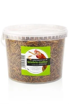 Moučný červ sušený UGF 3l / 460g