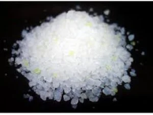 ELEGANT CAT ELEGANT Cat Lemon16l