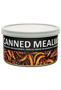 UGF moučný červ konzerva  35g