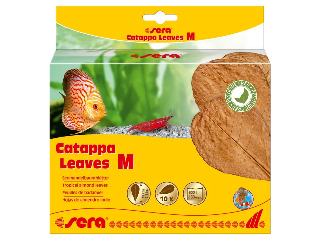 sera GmbH sera Catappa Leaves M 16