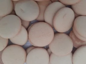 SALAČ Piškoty VELKÉ pro psy 16kg