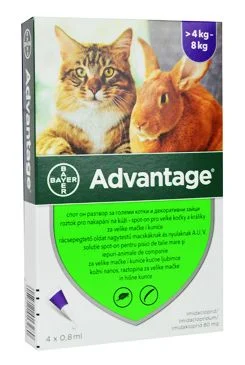 Advantage pro velké kočky a králíky 80mg 4x0,8ml