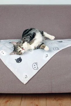 DEKA PRO KOČKY Z PLYŠE  70 x 50 cm