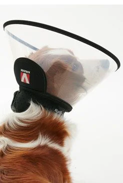 KRUUSE Límec ochranný BUSTER plastový Complete Collar 10 cm